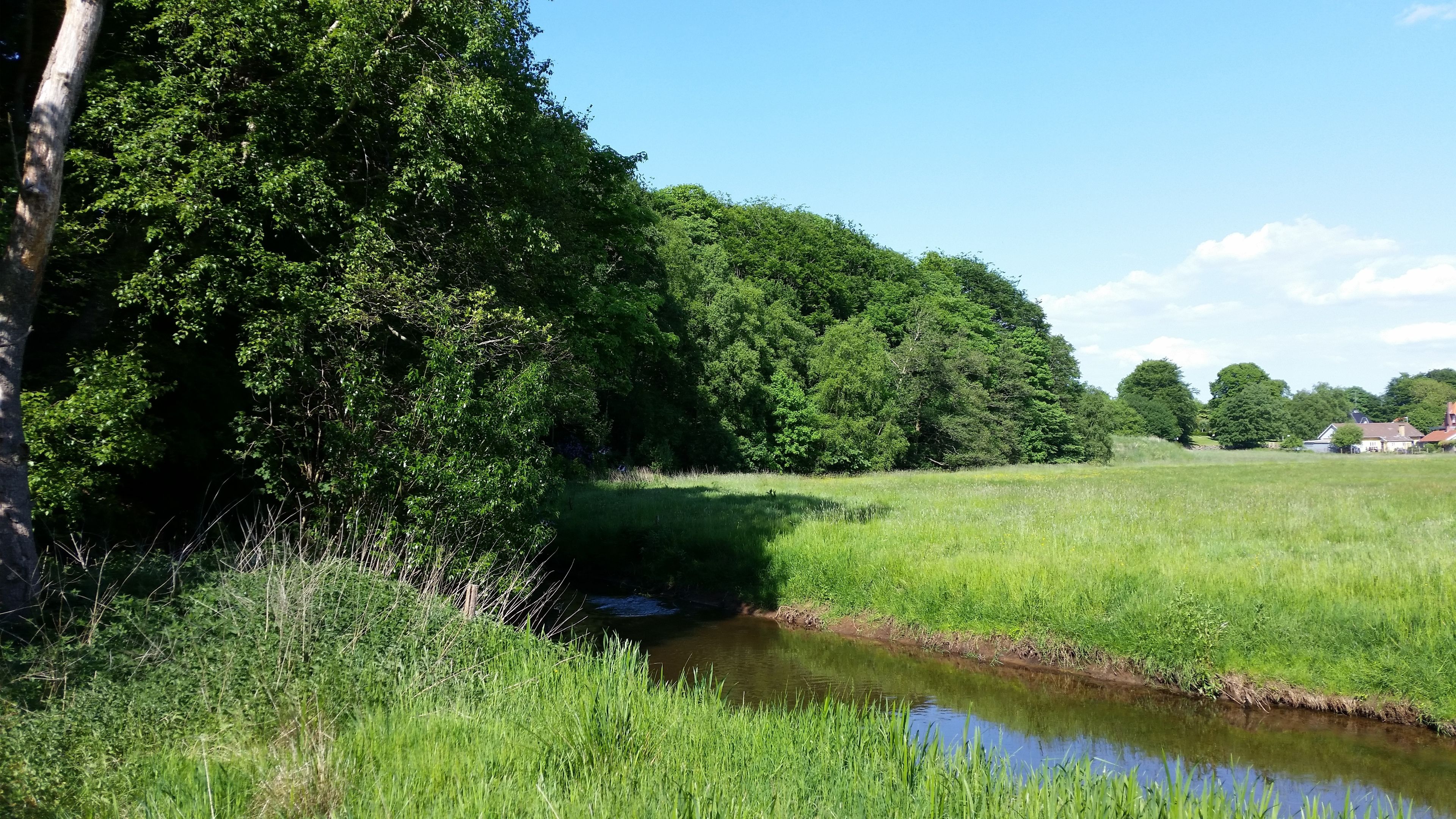 A rural landscape with a small stream, dense trees, and a distant house.