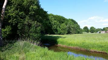 A rural landscape with a small stream, dense trees, and a distant house.