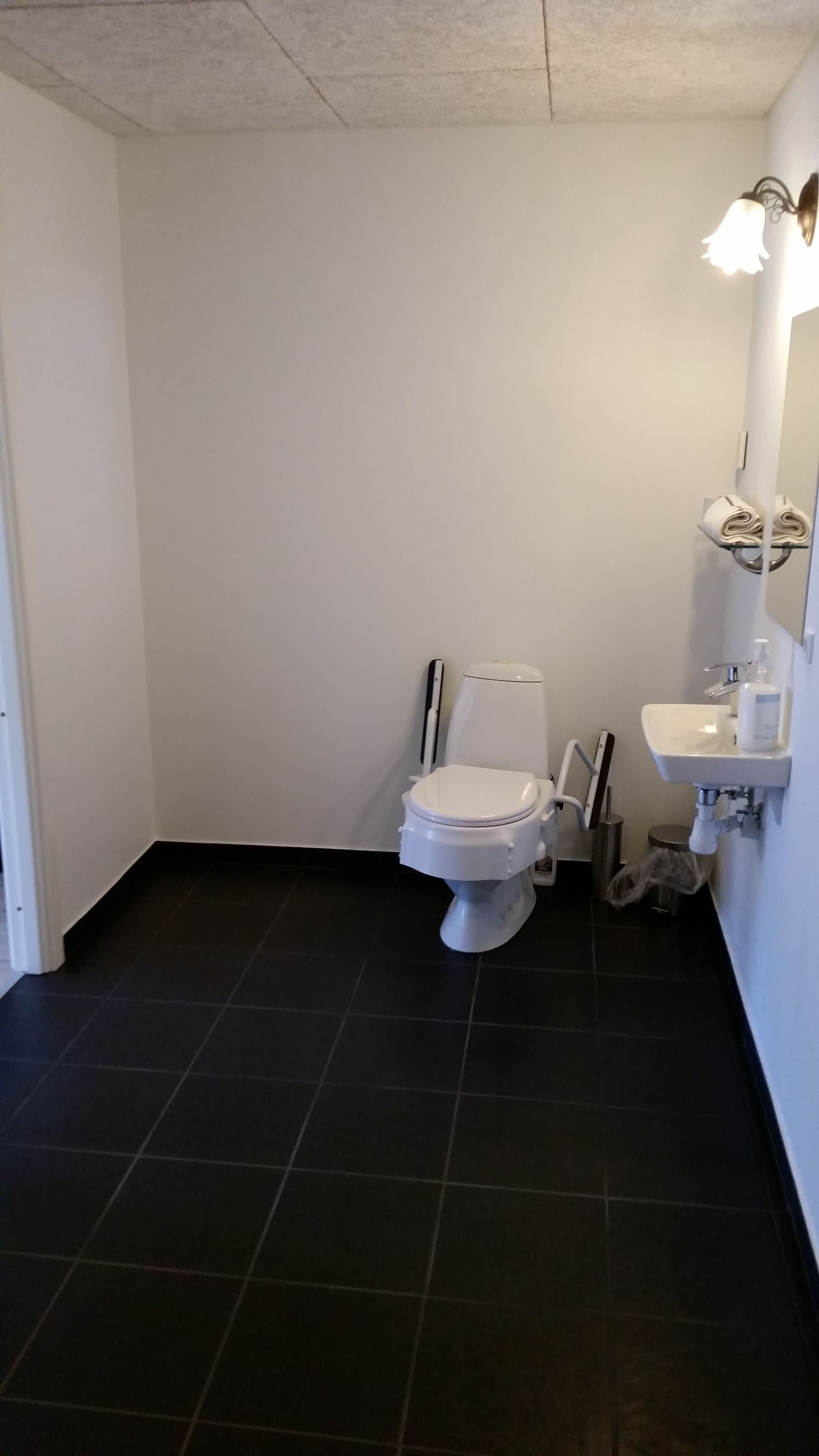 A small, clean bathroom with a white toilet, a sink, and a mirror.