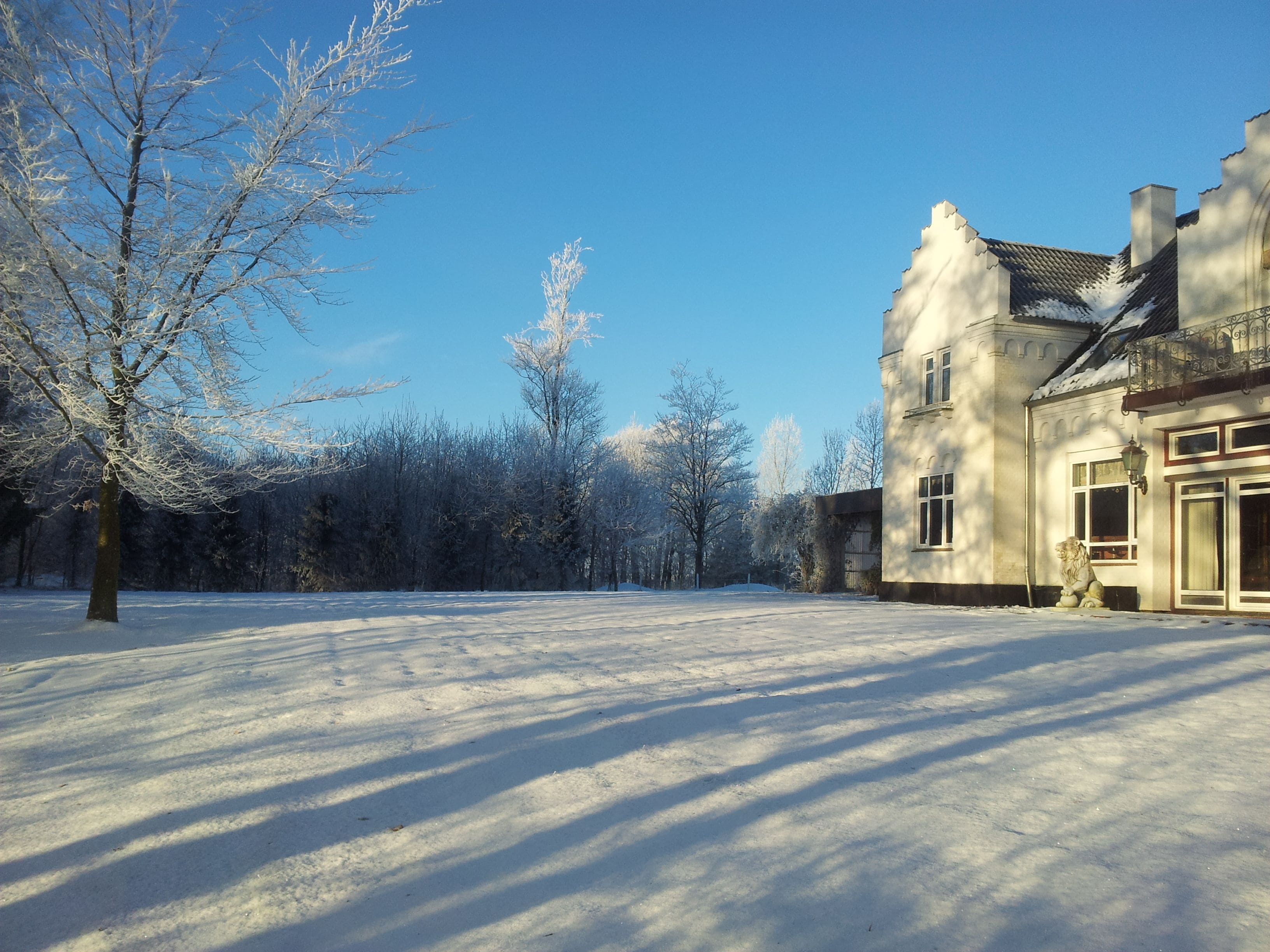 Un paisaje cubierto de nieve con una casa grande de estilo arquitectónico tradicional, un camino de entrada amplio y un cielo azul despejado.