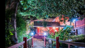Property grounds - Fish House (Ko Chang)