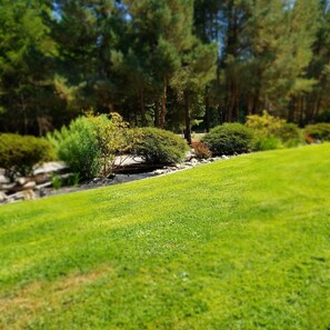 Property grounds - Country Farm Condo w/kitchen, near 7 Feathers Casino on OR Hwy 5; Dog friendly (Riddle)