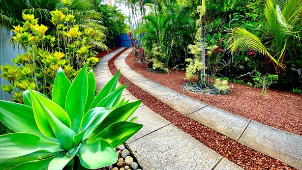 Un sentier de jardin bordé de diverses plantes et arbres, qui mène à une structure bleue visible au loin.