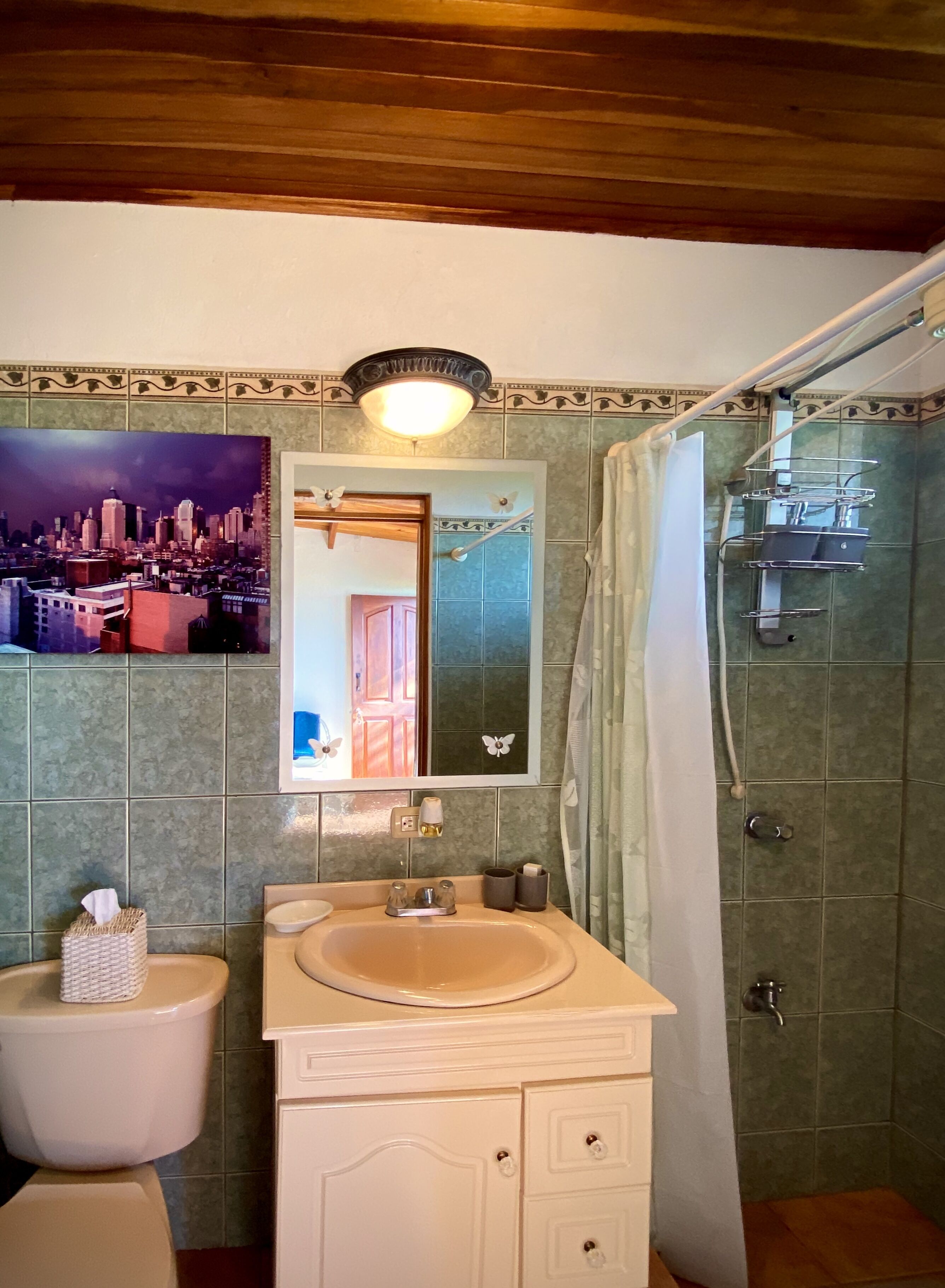 A bathroom with a sink, mirror, and shower.