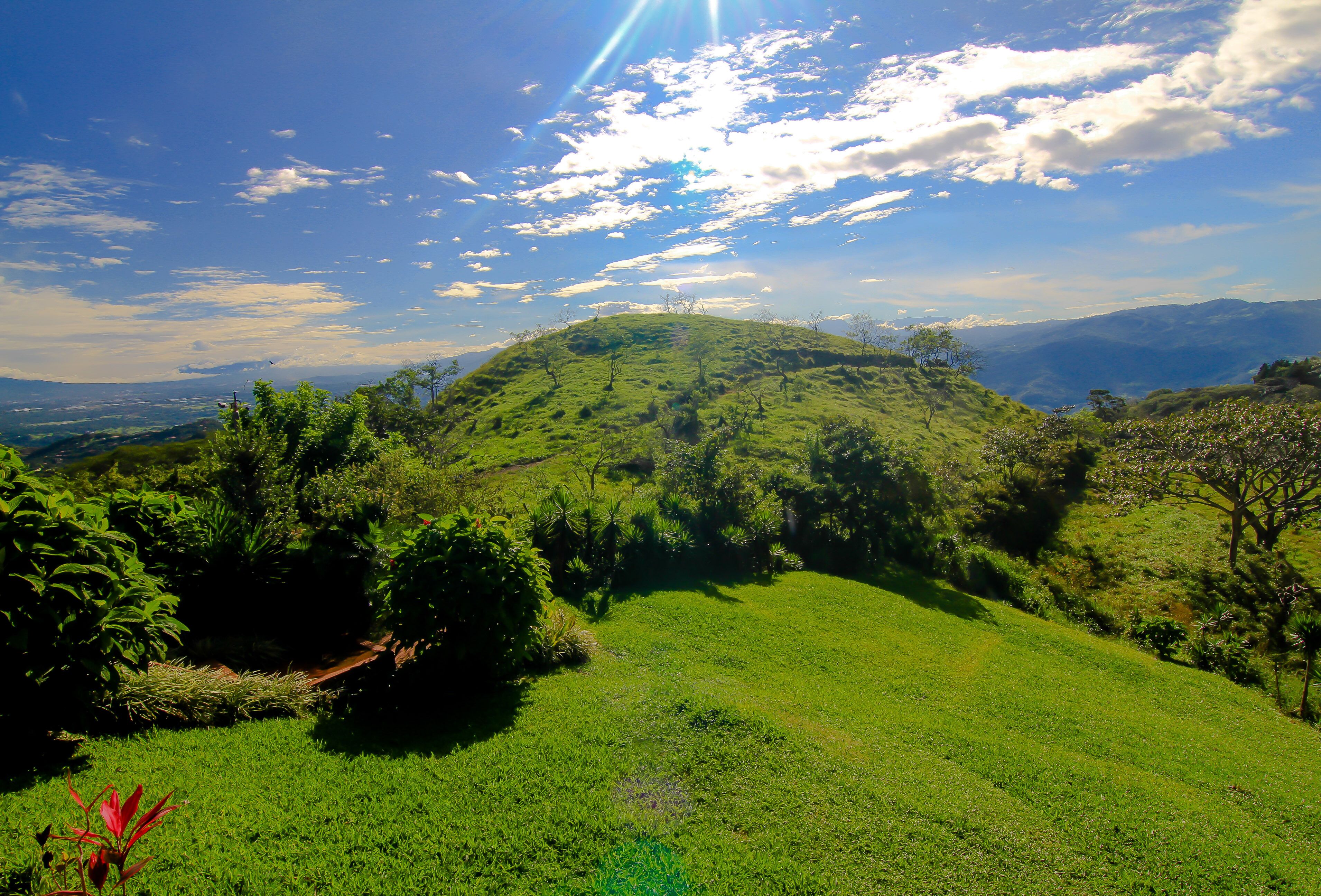 Un paysage verdoyant et luxuriant, avec une colline, des arbres et un ciel dégagé.