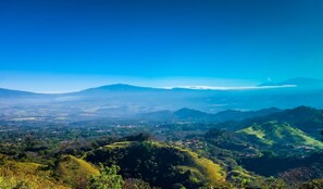 Luokittelematon kuva, 5 kautta 20, painike