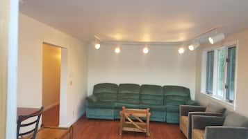 Televisión y chimenea