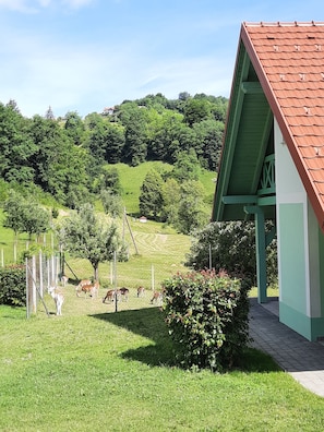 Enceinte de lâhĂ©bergement