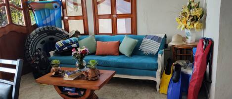 تلفزيون، مشغل دي في دي، كُتُب، ستيريو