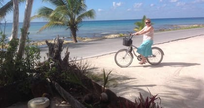 110Night Sep/Oct Beautiful Oceanfront Beachfront 1 Bedroom Villa Cozumel Snorkel