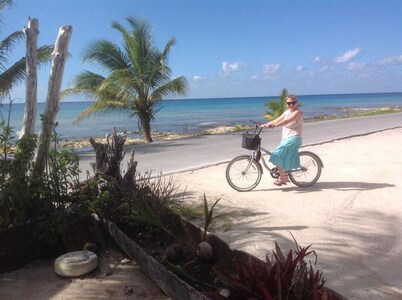 110Night Sep/Oct Beautiful Oceanfront Beachfront 1 Bedroom Villa Cozumel Snorkel