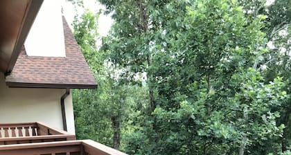 Serene Luxury Condo!! Low rent! High Speed WiFi! 2King Beds!  Walk to Downtown!!