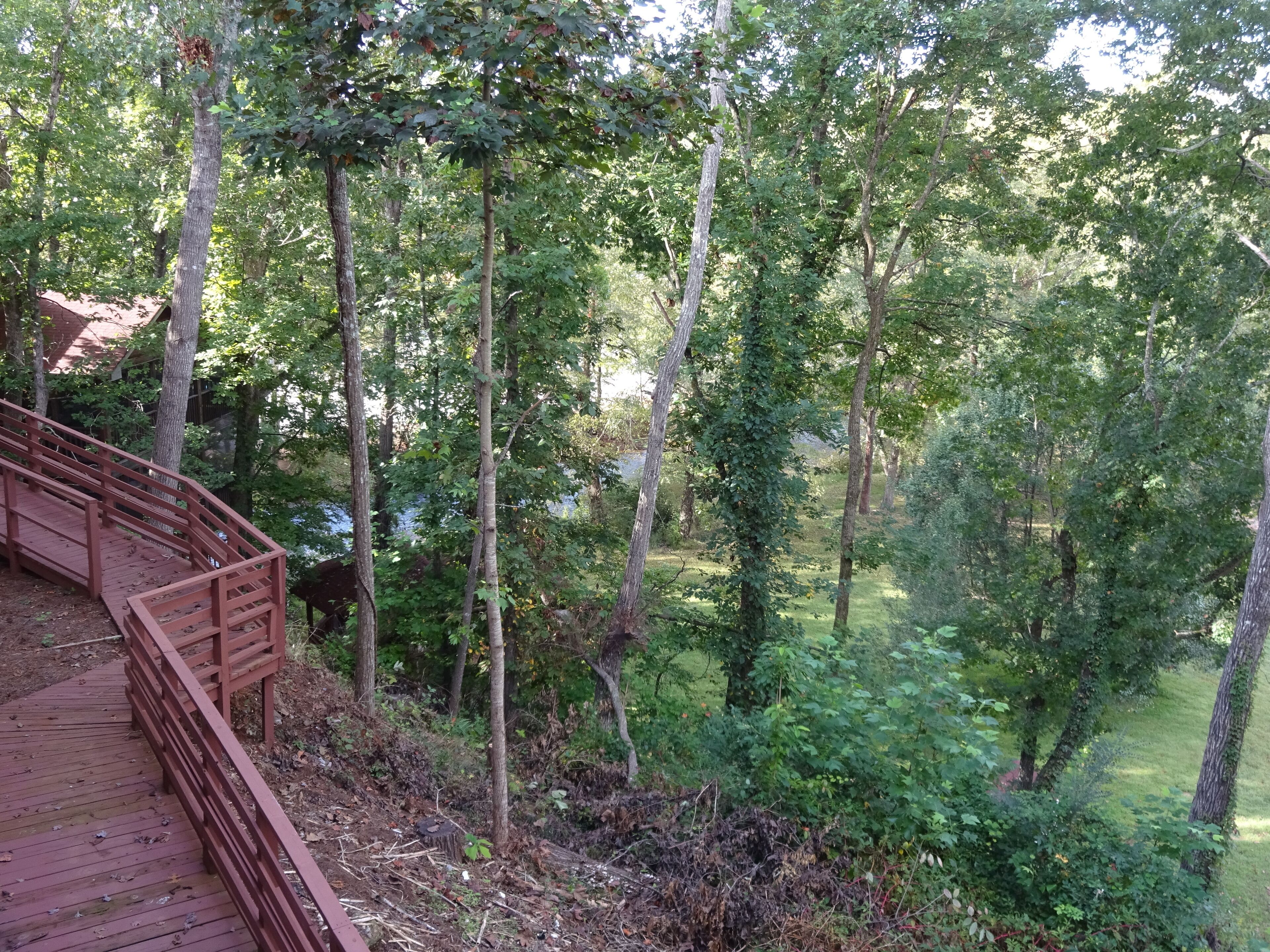 A wooden deck with a curved railing overlooking a forested area.