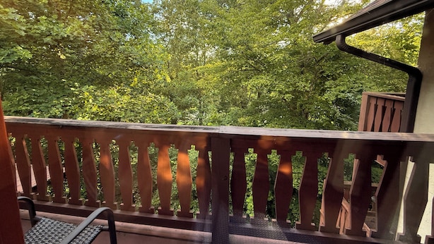 En træterrasse med gelænder i metal, der kigger ud over en tæt grøn skov.