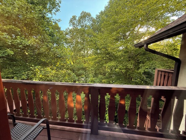 Terrain de l’hébergement 