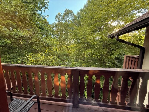 Serene Luxury Condo!! Low rent! High Speed WiFi! 2King Beds!  Walk to Downtown!!