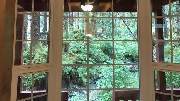 A room with a large fish mounted on the ceiling, a window with a view of a forest, and a hanging light fixture. - Experience Alaska with a touch of home! (Hollis)
