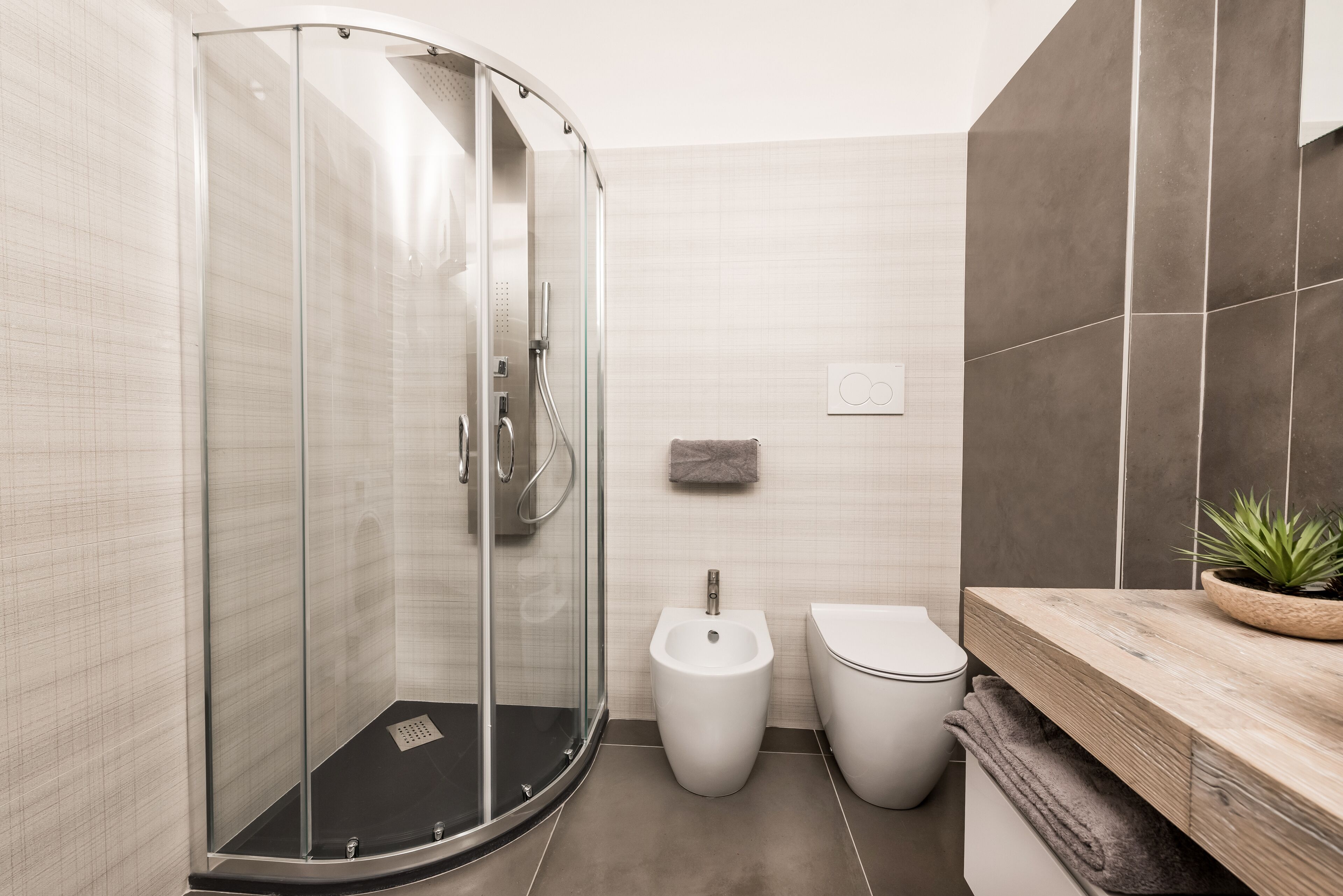 Shower, hair dryer, bidet, towels