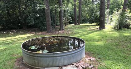 NoFo Bungalow, Pohjois-Fondren, Koillis Jackson