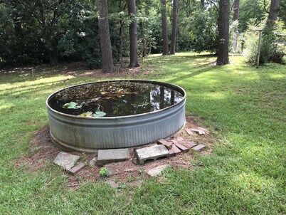 NoFo Bungalow, North Fondren, Northeast Jackson