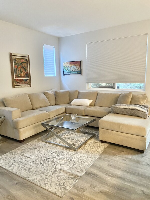 TV, fireplace, video games, DVD player