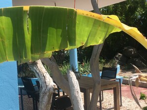 A wooden table under a banana leaf, surrounded by blue chairs, with a tree trunk and a rock in the background. - 'Boutique' studio 'Dushi Bida' (Willemstad)