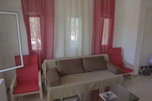 Televisión, chimenea, reproductor de DVD y videoteca