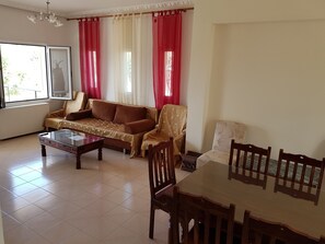 TV, fireplace, DVD player, video library