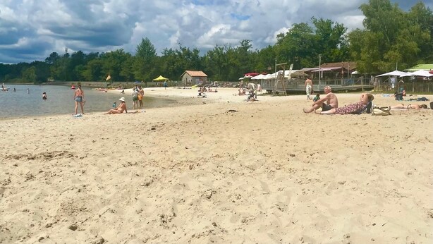 Una spiaggia con persone che si prendono il sole e nuotano, circondata da alberi e cabine.