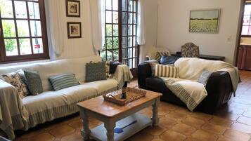 TV, fireplace, video games, ping pong