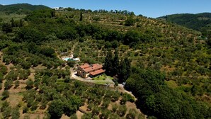 An aerial view of a property with a large house surrounded by dense vegetation and hills. - Villa Agriturismo Podere Pilar in Tuscany  10 people - spectacular swimming pool (Monsummano Terme)