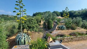 A garden with a stone staircase leading up to a house, surrounded by various plants and trees. - Villa Agriturismo Podere Pilar in Tuscany  10 people - spectacular swimming pool (Monsummano Terme)