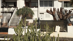 Un edificio moderno con fachada blanca, una escalera y un jardín de cactus en primer plano.