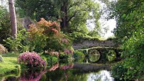 Un jardin paisible avec un étang, une végétation luxuriante et un pont de pierre.
