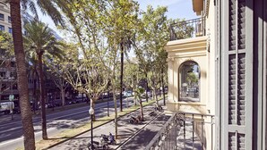 A street view with a sidewalk, palm trees, and parked scooters. - Three bedroom apartment Diagonal - You Stylish (Barcelona)