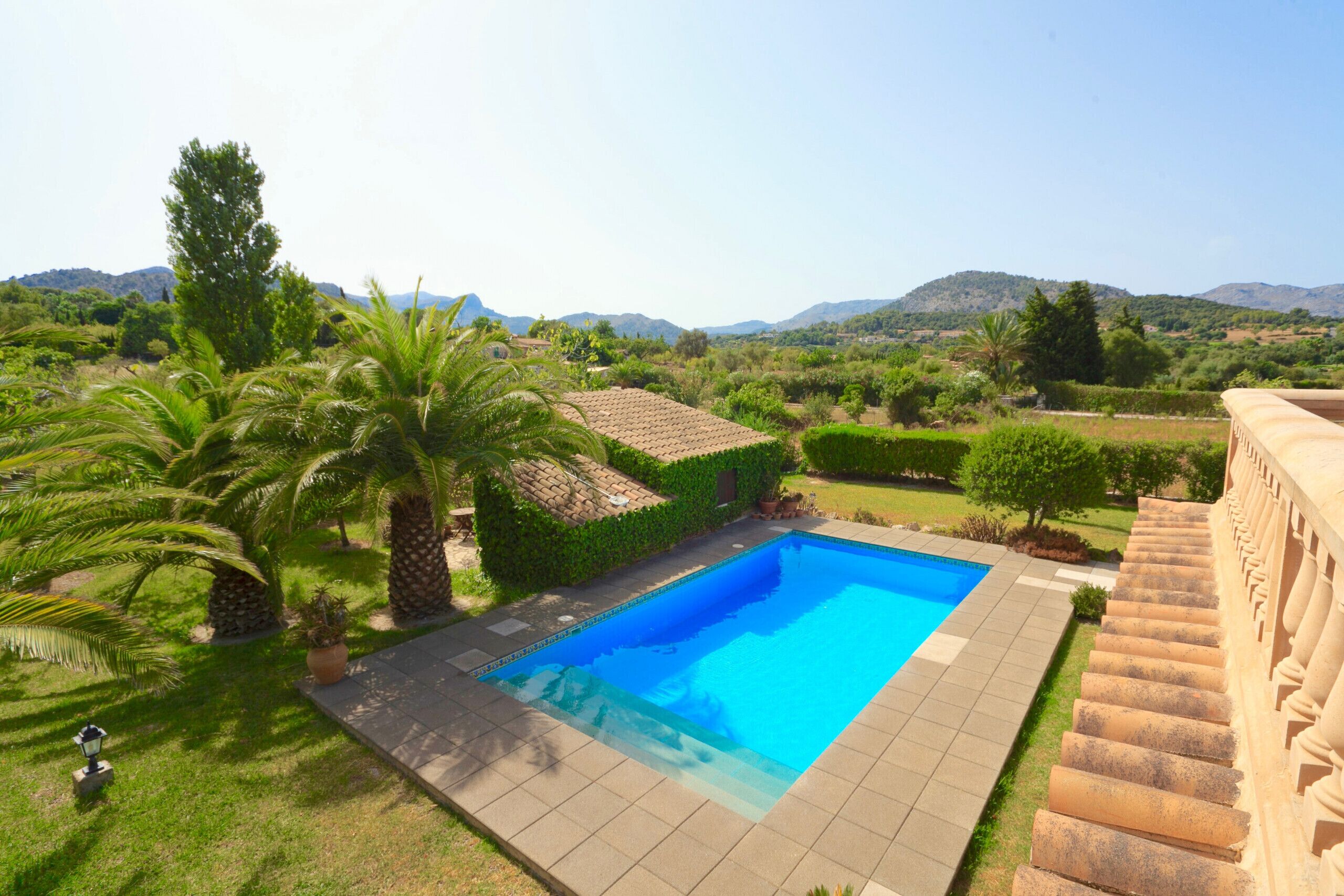 A swimming pool surrounded by palm trees and a well-maintained garden.