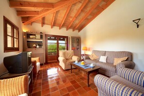 TV, fireplace, DVD player - Villa Xinito for four people with pool (Pollensa)