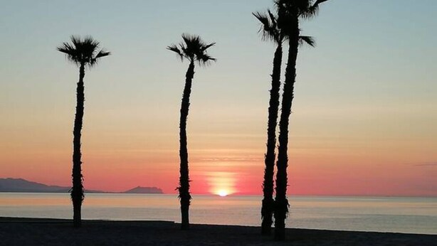 Una playa con tres palmeras silueteadas contra el ocaso.