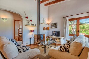 TV, fireplace, ping pong