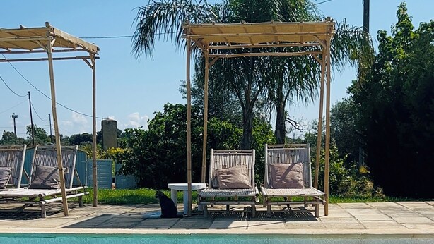 A swimming pool with lounge chairs and a pergola.