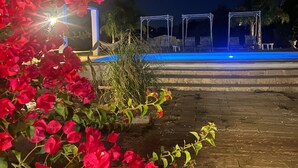 A nighttime outdoor area with a pool, seating, and lush red flowers.