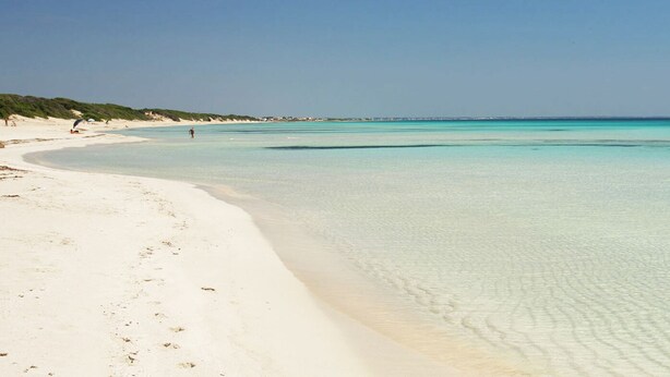 Una playa con agua turquesa cristalina, arena blanca y vegetación escasa.