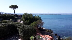 A coastal landscape with a clear view of the sea, a solitary tree, and a stone pathway leading to a cliff edge. - Independent villa on the sea (Isola)