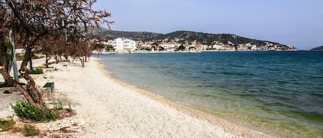 A pebble beach with a row of trees and a building in the background.
