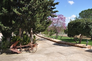 Parco della struttura