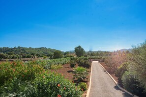 Property grounds - Villa Els Baladres for families with swimming pool (Pollensa)