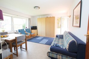 TV, DVD player, books, music library