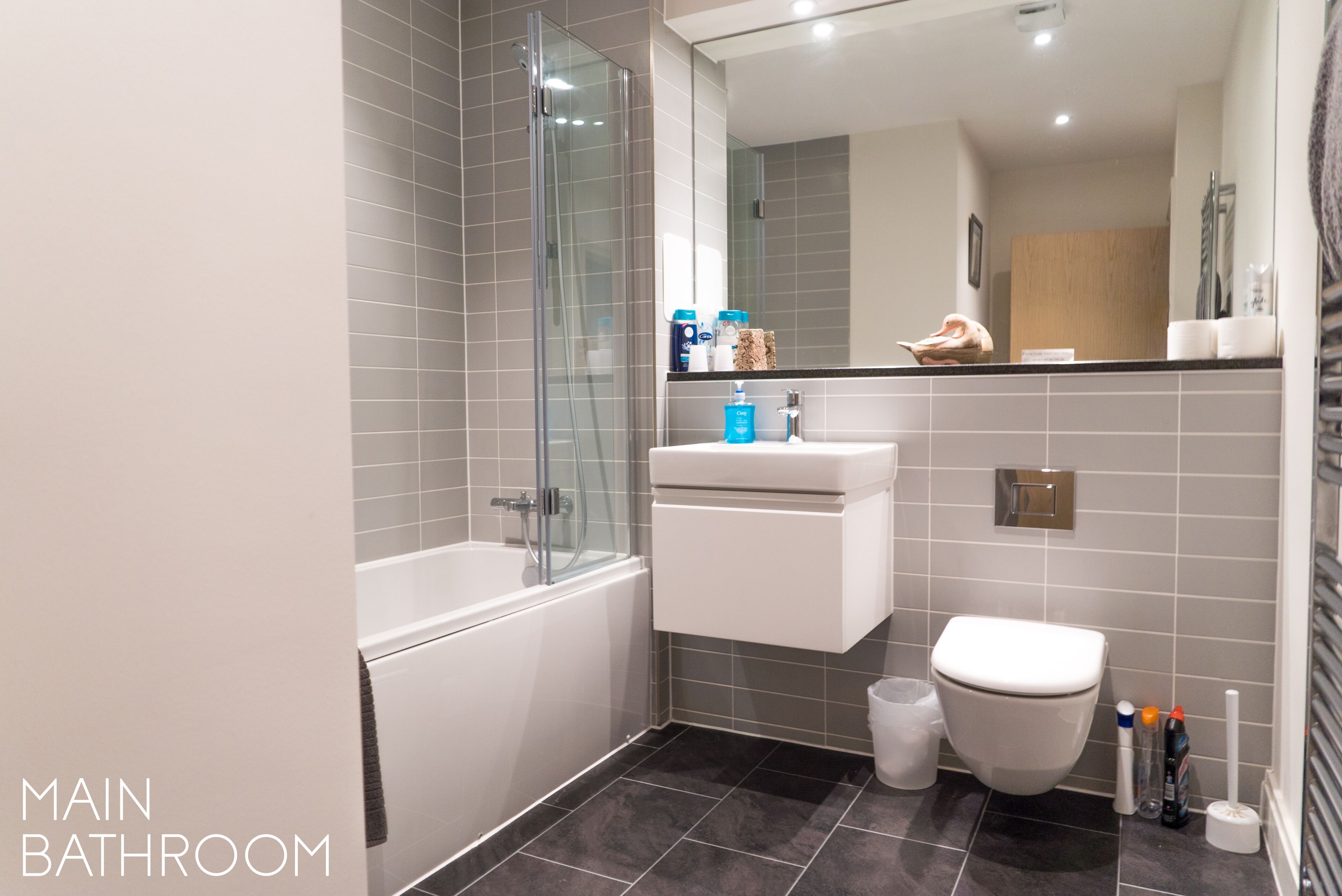 Combined shower/bathtub, eco-friendly toiletries, hair dryer, towels