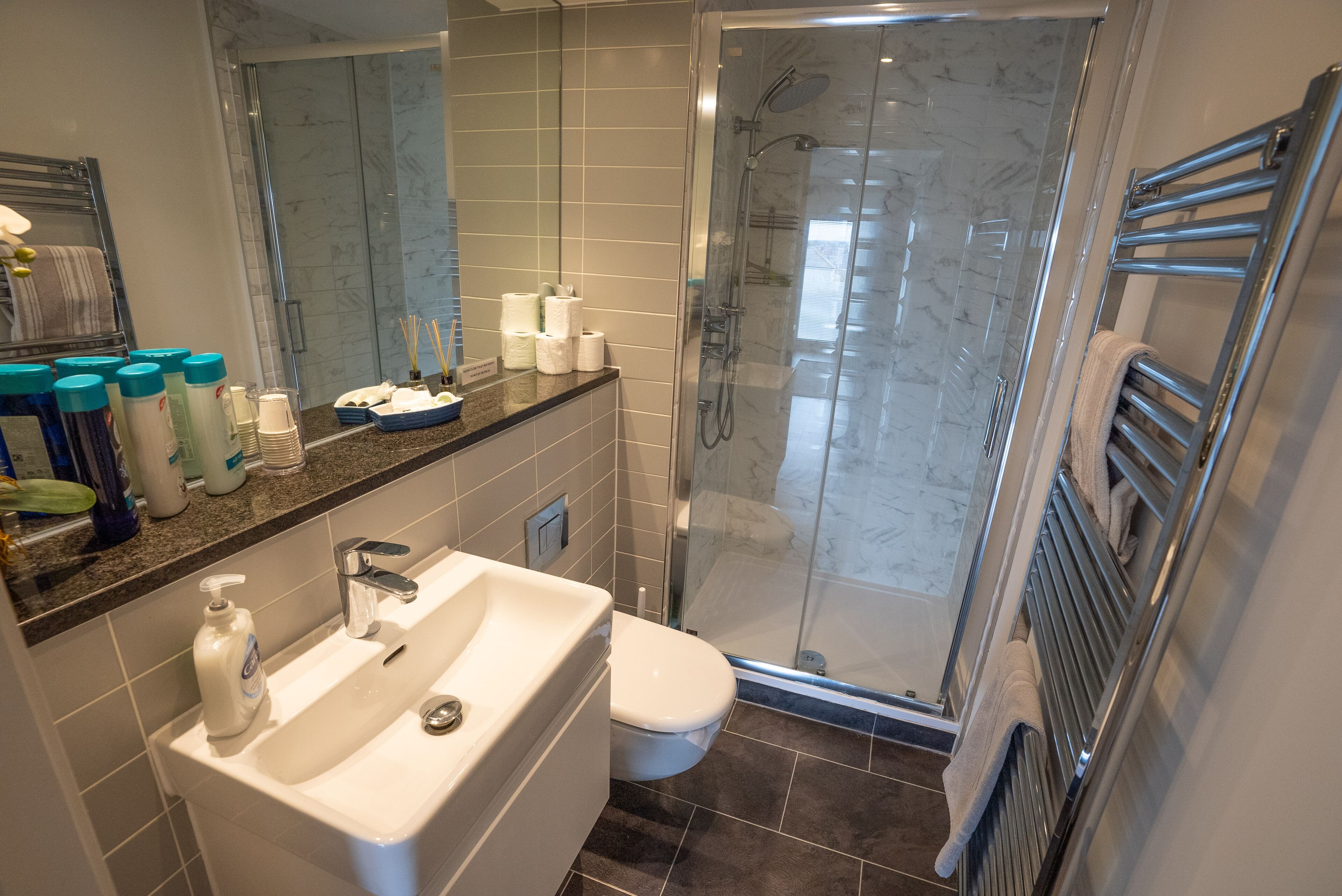 Combined shower/bathtub, eco-friendly toiletries, hair dryer, towels