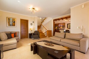 Télévision, cheminée, lecteur de DVD, livres